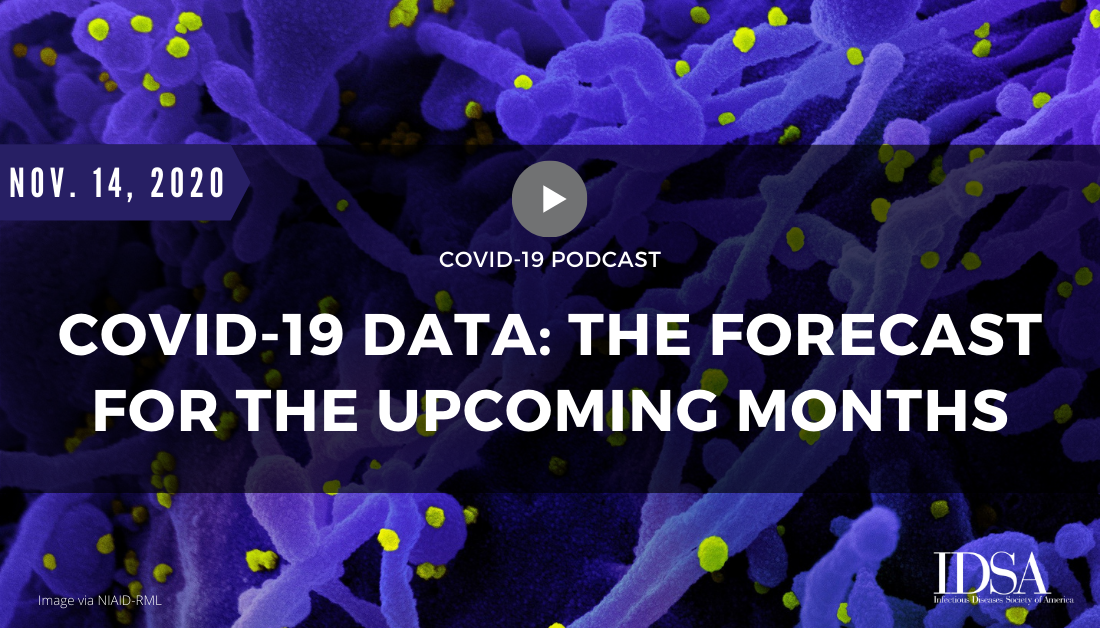 COVID-19 Data: The Forecast for the Upcoming Months (Nov. 14, 2020)